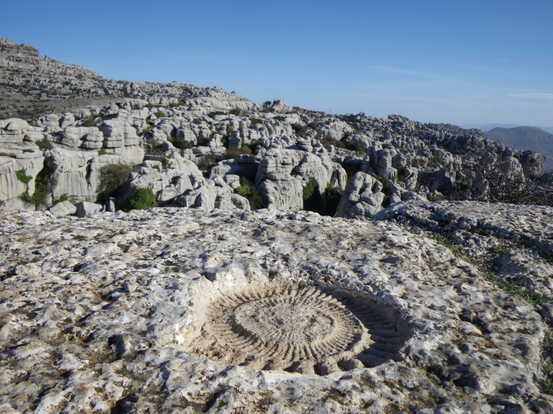 Dolmenes de Antequera - Qué ver en Málaga Provincia - Foro Andalucía