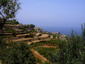 Banyalbufar, Mallorca