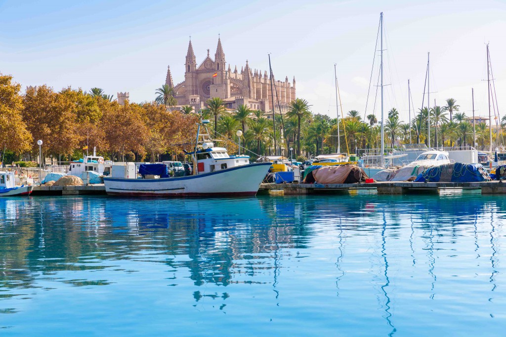 Puerto mallorca catedral