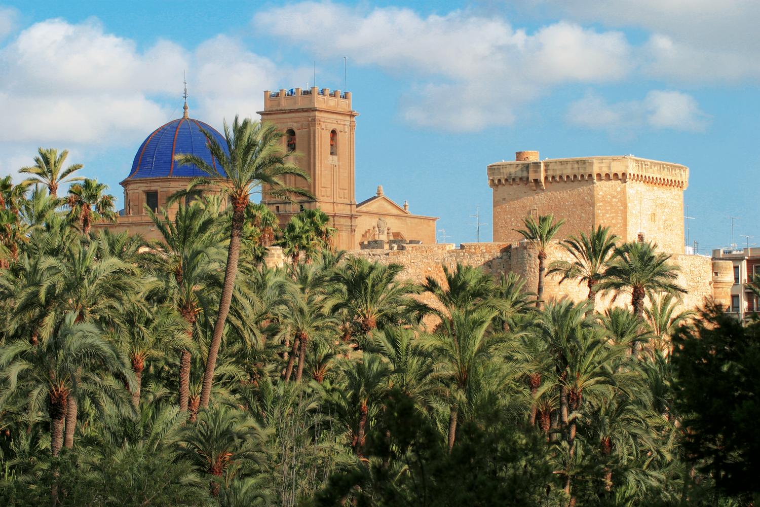 Europe’s largest palm grove in Elche