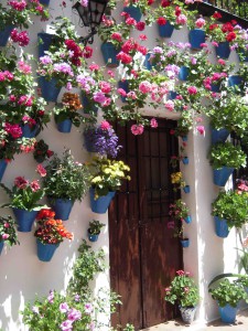 Qué ver Córdoba: Patios Córdoba