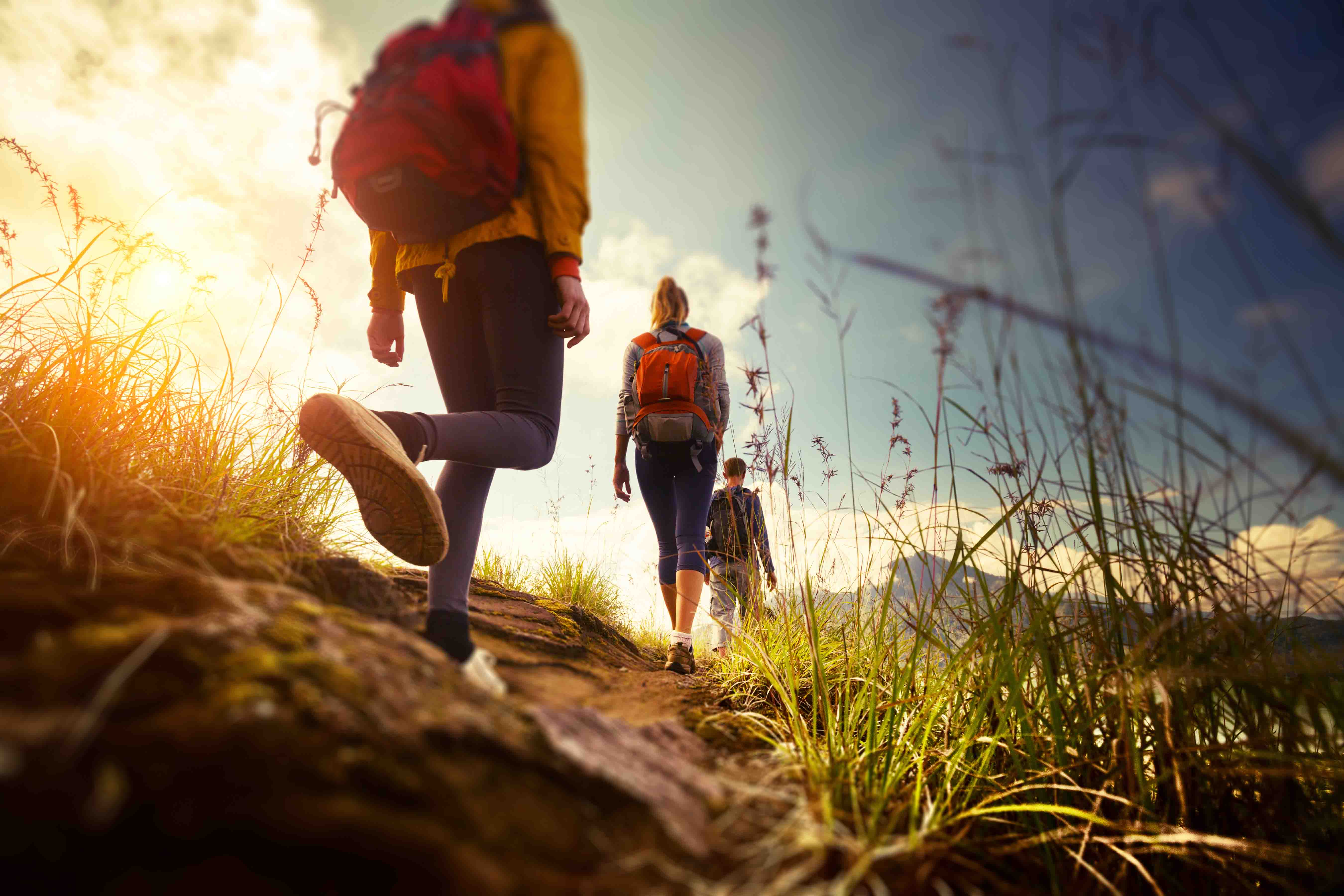 Wanderpläne in Málaga: Wanderwege im Herbst