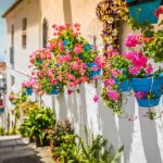 Ver calles estrechas y casas blancas Ibiza