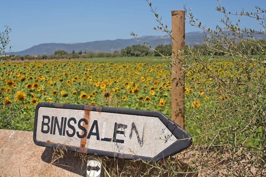 Festa des Vermar 2023, la fiesta mayor de Binissalem