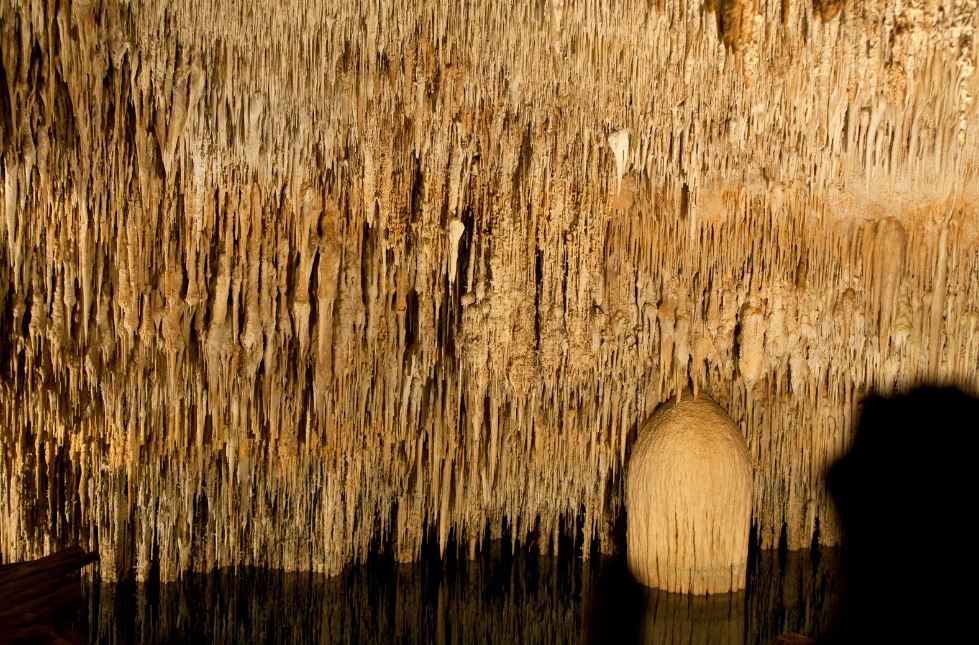 Entdecken Sie die faszinierenden Cuevas del Drach in Palma de Mallorca