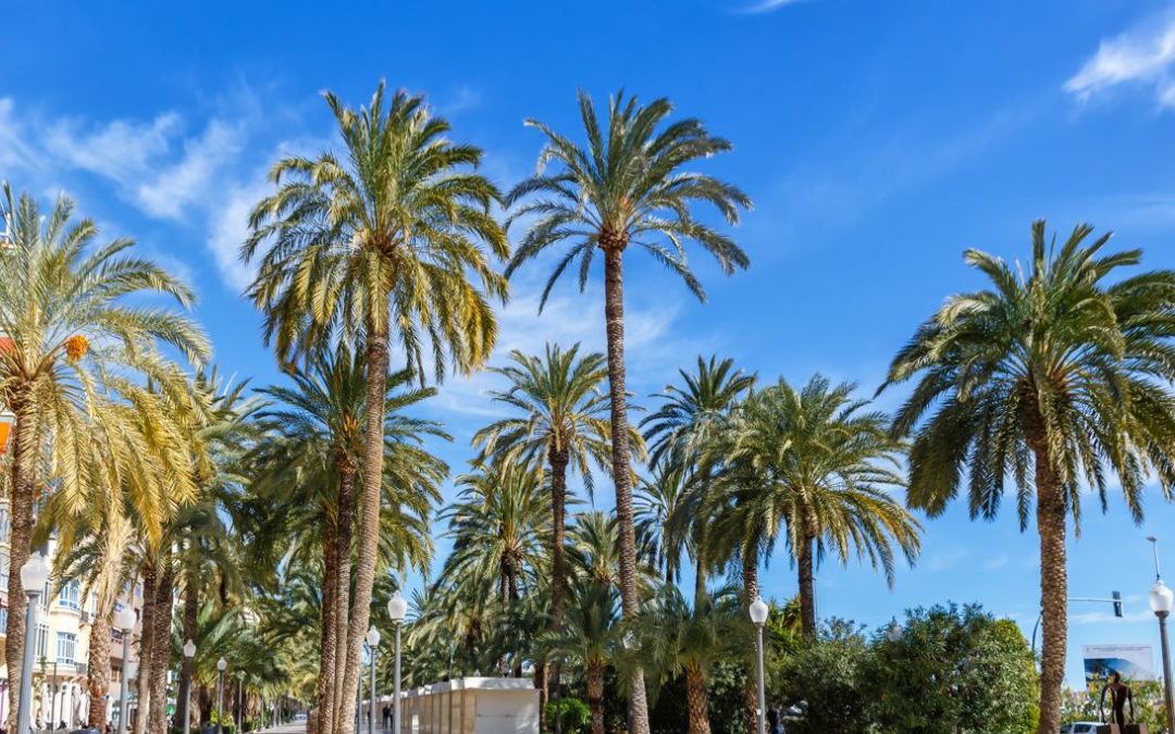 Cosa vedere nei dintorni di Alicante: Guida Completa per una Vacanza Perfetta