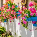 Casa di paese a Malaga. Andalusia (Spagna)