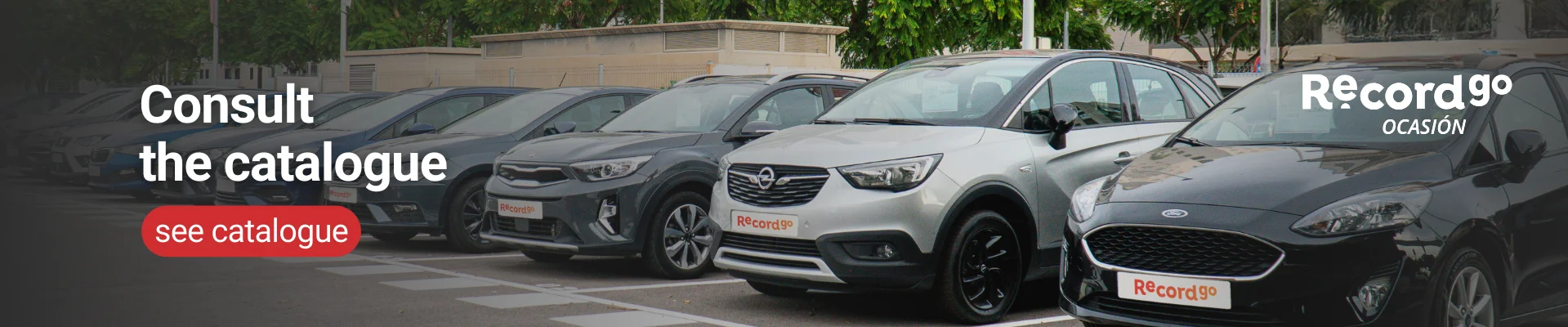 Best price car rental