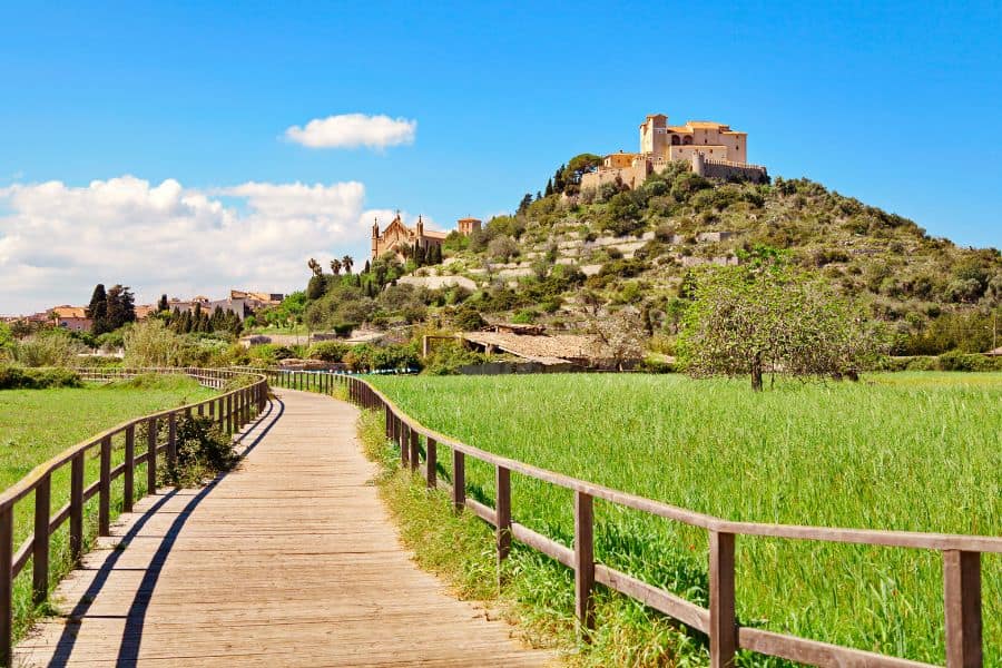 Nature in Arta, Majorca