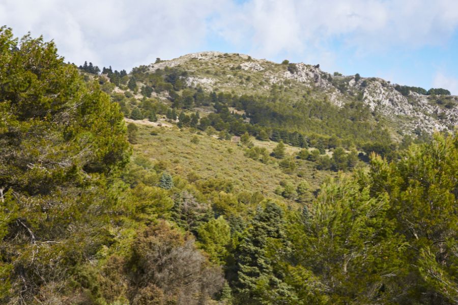 Places to see in Yunquera