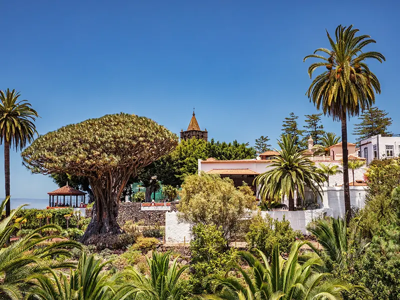View of the Drago Park in Icod de los Vinos